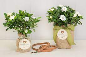 Losing a beloved animal companion is heartbreaking and the grief that follows difficult to cope with. Fragrant Pet Sympathy Gardenia Gift A Beautiful And Fragrant Gardenia With White Gardenia Buds Ready To Pet Sympathy Sympathy Gifts Personalized Sympathy Gifts