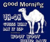 Protection of animals and the environment. Hump Day Camel Pictures Photos Images And Pics For Facebook Tumblr Pinterest And Twitter