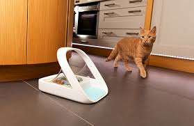 If your pet becomes lost then you are far more likely to become reunited if he or she is each chip has a unique number that is detected using a microchip scanner. The Surefeed Microchip Pet Feeder From Sure Petcare