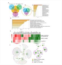 .примой фа фа фа ля d65 vii м3+м3 б2 ми соль си до разр в т53 с удвоенной тоникой фа фа ля до d43 ii. Sars Cov 2 Infection Shown To Reduce The Expression Of Vitamin D Pathway Components