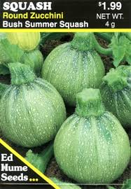 We snack on these now all year round. Zucchini Round Summer Squash Humeseeds Com