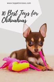10 Best Toys For Chihuahuas Stimulating Dog Toys Puppy Chew Toys Small Dog Toys