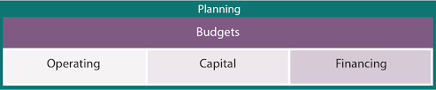 We defined four possible roles for the finance function in a corporation. Planning Directing And Controlling Principlesofaccounting Com