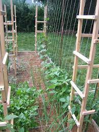 Prevent wooden tomato stakes from rotting. Pin On Garden