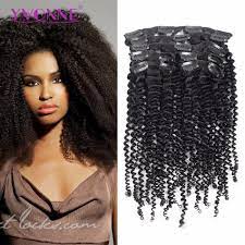 China Brazilian Virgin Hair Kinky Curly Clip In Hair Extension China Clip In And Hair Extensions Price