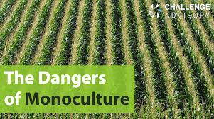 Reduce soil erosion by wind and water. The Dangers Of Monoculture Farming Challenge Advisory
