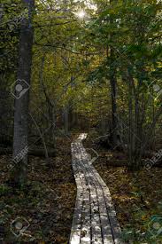 We did not find results for: Swedish Autumn Forest Beautiful Nature And Landscape Photo Of Stock Photo Picture And Royalty Free Image Image 88568204