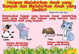 Berbeza daripada haiwan yang melahirkan anak, haiwan yang bertelur tidak menyusui. Panitia Sains Skfma Added A New Photo Panitia Sains Skfma