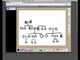 How To Draw A Kinship Diagram