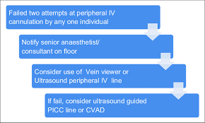 Image result for Peripheral IV Access