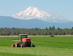Maybe you would like to learn more about one of these? Alfalfa An Overview Sciencedirect Topics