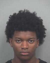 Brothers face charges in shooting of 15-year-old in Gwinnett County