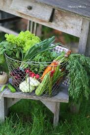 Pin By Dany Joly On Fruit And Veggies Veggie Garden Vegetables Fresh Vegetables