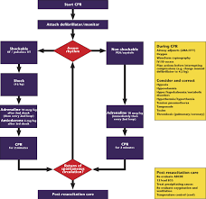Image result for Ventricular Fibrillation Management in the Adult
