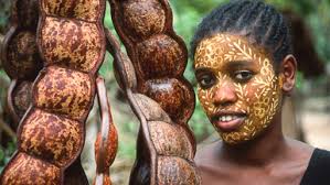 Guildford Travel Club