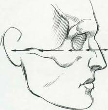 Pin On References People