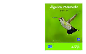 Índice general 1.métodoaxiomático 1 1.1. Algebra Intermedia 7ed Allen R Angel Pdf Docer Com Ar
