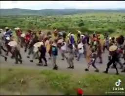 Following that, eff leader julius malema choppered in for tea at. Watch Current Situation At Nkandla Respect The Zulu Nation For This Ireport South Africa News