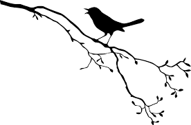 Transparent Bird On Branch Silhouette Butterflies And Birds Tamzdezigns Bird Silhouette Art Silhouette Art Bird Silhouette