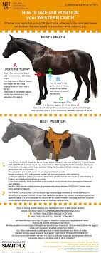 Cinch Girth Length Position Horse Riding Tips Horse Facts