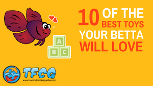 Zoo med floating betta log free shipping. 10 Of The Best Betta Fish Toys Your Betta Will Love