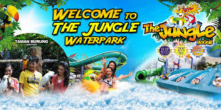 37 просмотров 2 месяца назад. The Jungle Waterpark Home Facebook