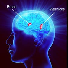 Making the best of it every time! Tipos De Afasia