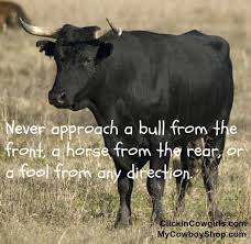 Best bulls quotes selected by thousands of our users! Bull Animal Quotes Visitquotes