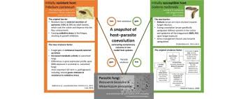 There are no parasites or pathogens and there is no clear explanation why. Coevolution Of Parasitic Fungi And Insect Hosts Sciencedirect