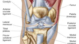 What Is Causing Your Knee Pain