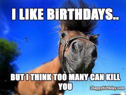 Happy Birthday Horse Meme Funny Songs 2happybirthday