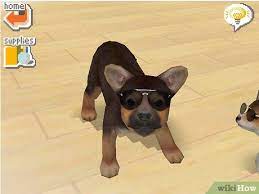 Apr 25, 2021 · how do you unlock new dogs in nintendogs dalmatian and friends? How To Earn Money And Trainer Points In Nintendogs 13 Steps