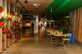 An Inside Look At Google S Sydney Headquarters Hidden Rooms Rock Climbing Wall Nap Pod