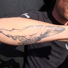Art events by sea shepherd tattoo. Get Yourself A Sea Shepherd Tattoo Artists For Sea Shepherd