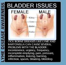 Pin Auf Health Chronic Illness