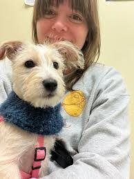 Carol Beagle's Instagram, Twitter & Facebook