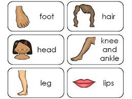 Worksheets, lesson plans, activities, etc. Pin On Learning Folder