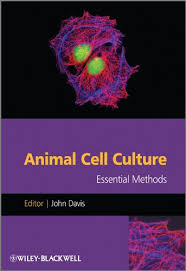Check spelling or type a new query. Buy Animal Cell Culture Essential Methods 1 Book Online At Low Prices In India Animal Cell Culture Essential Methods 1 Reviews Ratings Amazon In