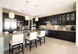 kitchens with black cabinets pictures