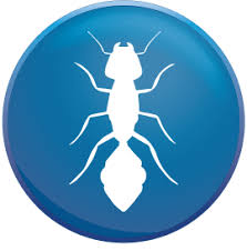 An associate with extensive training in all areas of termite control. Pest Control Service Company Doha Qatar Call 974 77598405