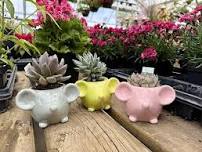 Kid's Mouse Planter Class