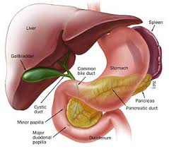 Pin By Kc On Pancreas Liver Health Acute Pancreatitis Nursing Flashcards