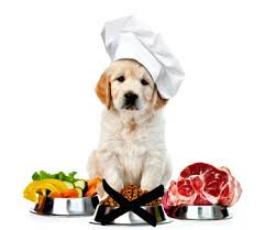 You want to first make. Raw Puppy Food An Owner S Guide
