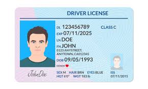 Check spelling or type a new query. Buy Scannable Fake Id Premium Fake Ids