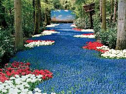 Same day flower delivery on all bouquets. Photos Of Holland S Beautiful Spring Blossoms Conde Nast Traveler