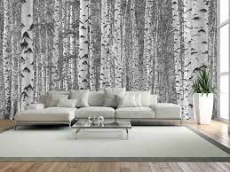 Get inspired with our curated ideas for wallpaper and find the perfect item for every room in your home. Birch Tree Forest Black And White Wall Mural About Murals