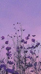 Flowers Flowers Purple Wallpaper Iphone Aesthetic Backgrounds Aesthetic Pastel Wallpaper