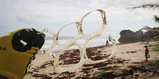 Ocean's eight is an american caper film introduced by the late producer jerry weintraub, and led by director gary ross and screenwriter olivia milch. Plastic Ocean Pollution The Ocean Foundation