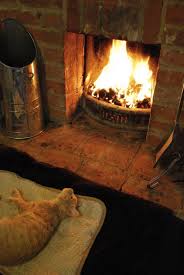 Cats At Firesides Live Luxuriously And Are The Picture Of Comfort Leigh Hunt Cozy Cozy Fireplace Fireplace