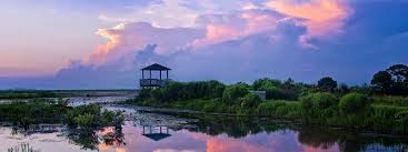 See more ideas about louisiana, louisiana usa, new orleans louisiana. Holidays To Louisiana Tailor Made Hayes Jarvis Holidays